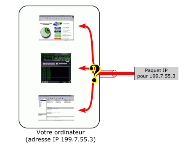 UDP1